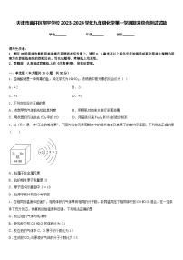 天津市南开区翔宇学校2023-2024学年九年级化学第一学期期末综合测试试题含答案