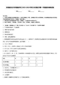 安徽省安庆市外国语学校2023-2024学年九年级化学第一学期期末调研试题含答案