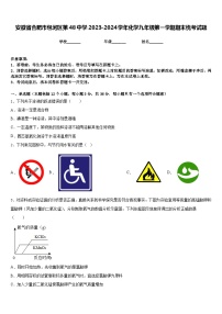 安徽省合肥市包河区第48中学2023-2024学年化学九年级第一学期期末统考试题含答案