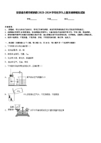 安徽省合肥市肥西县2023-2024学年化学九上期末调研模拟试题含答案