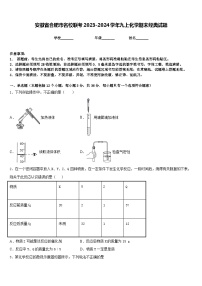 安徽省合肥市名校联考2023-2024学年九上化学期末经典试题含答案