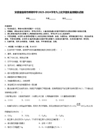 安徽省宿州市鹏程中学2023-2024学年九上化学期末监测模拟试题含答案