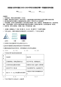 安徽省六安市叶集区2023-2024学年九年级化学第一学期期末统考试题含答案