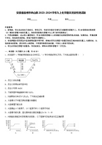 安徽省宿州市砀山县2023-2024学年九上化学期末质量检测试题含答案