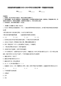 安徽省毫州市涡阳县2023-2024学年九年级化学第一学期期末检测试题含答案