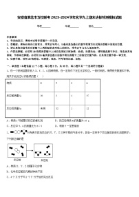 安徽省淮北市五校联考2023-2024学年化学九上期末达标检测模拟试题含答案