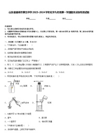 山东省德州市第五中学2023-2024学年化学九年级第一学期期末达标检测试题含答案