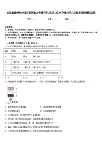 山东省德州市经济开发区抬头寺镇中学2023-2024学年化学九上期末检测模拟试题含答案