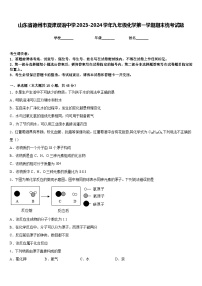 山东省德州市夏津双语中学2023-2024学年九年级化学第一学期期末统考试题含答案