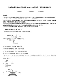 山东省德州市禹城市齐鲁中学2023-2024学年九上化学期末调研试题含答案