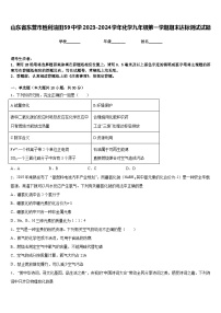 山东省东营市胜利油田59中学2023-2024学年化学九年级第一学期期末达标测试试题含答案