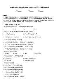 山东省东营市实验中学2023-2024学年化学九上期末检测试题含答案