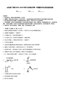 山东省广饶县2023-2024学年九年级化学第一学期期末学业质量监测试题含答案