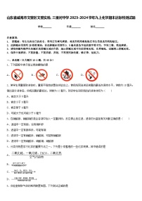 山东省威海市文登区文登实验、三里河中学2023-2024学年九上化学期末达标检测试题含答案