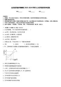 山东省济南市槐荫区2023-2024学年九上化学期末统考试题含答案