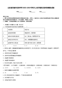 山东省济南市实验中学2023-2024学年九上化学期末达标检测模拟试题含答案