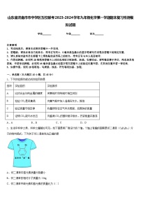 山东省济南市市中学区五校联考2023-2024学年九年级化学第一学期期末复习检测模拟试题含答案