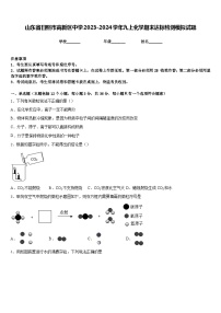 山东省日照市高新区中学2023-2024学年九上化学期末达标检测模拟试题含答案