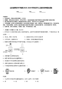 山东省泰安市宁阳县2023-2024学年化学九上期末统考模拟试题含答案