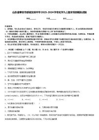 山东省泰安市新城实验中学2023-2024学年化学九上期末检测模拟试题含答案