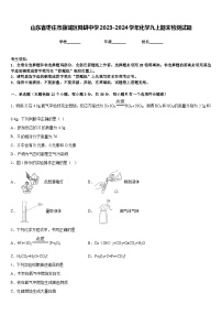 山东省枣庄市薛城区舜耕中学2023-2024学年化学九上期末检测试题含答案