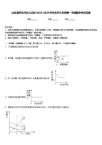 山东省枣庄市台儿庄区2023-2024学年化学九年级第一学期期末考试试题含答案