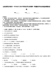 山东省枣庄市四十一中2023-2024学年化学九年级第一学期期末学业质量监测模拟试题含答案