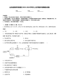 山东省滨州市滨城区2023-2024学年九上化学期末经典模拟试题含答案