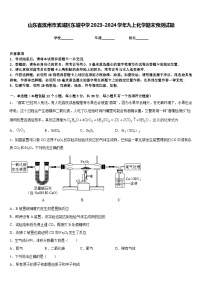 山东省滨州市滨城区东城中学2023-2024学年九上化学期末预测试题含答案