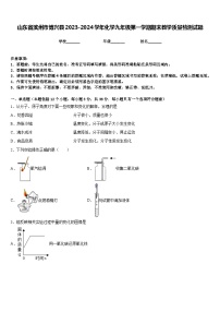 山东省滨州市博兴县2023-2024学年化学九年级第一学期期末教学质量检测试题含答案