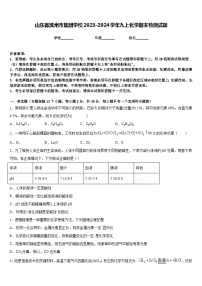 山东省滨州市集团学校2023-2024学年九上化学期末检测试题含答案