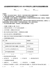 山东省滨州市邹平双语学校2023-2024学年化学九上期末学业质量监测模拟试题含答案