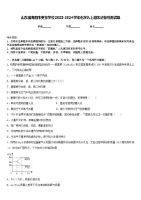 山东省海阳市美宝学校2023-2024学年化学九上期末达标检测试题含答案