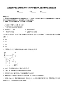 山东省济宁海达行知学校2023-2024学年化学九上期末教学质量检测试题含答案