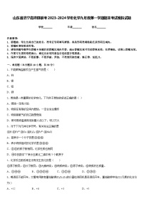 山东省济宁嘉祥县联考2023-2024学年化学九年级第一学期期末考试模拟试题含答案