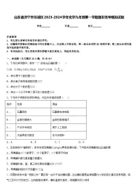 山东省济宁市任城区2023-2024学年化学九年级第一学期期末统考模拟试题含答案