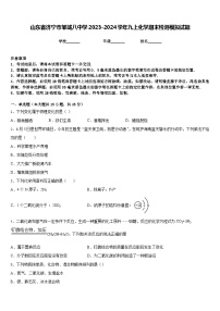 山东省济宁市邹城八中学2023-2024学年九上化学期末检测模拟试题含答案