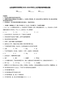 山东省潍坊市寒亭区2023-2024学年九上化学期末联考模拟试题含答案