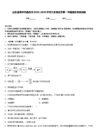 山东省潍坊市昌邑市2023-2024学年九年级化学第一学期期末预测试题含答案