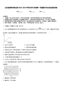 山东省淄博市桓台县2023-2024学年化学九年级第一学期期末学业质量监测试题含答案