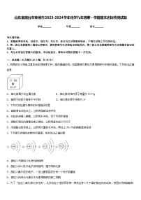 山东省烟台市莱州市2023-2024学年化学九年级第一学期期末达标检测试题含答案