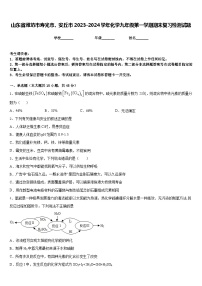 山东省潍坊市寿光市、安丘市2023-2024学年化学九年级第一学期期末复习检测试题含答案