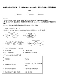 山东省菏泽市牡丹区第二十二初级中学2023-2024学年化学九年级第一学期期末调研试题含答案