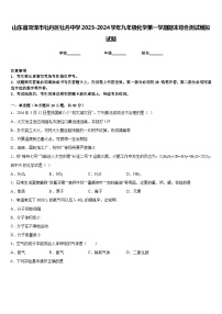 山东省菏泽市牡丹区牡丹中学2023-2024学年九年级化学第一学期期末综合测试模拟试题含答案