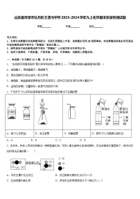 山东省菏泽市牡丹区王浩屯中学2023-2024学年九上化学期末质量检测试题含答案