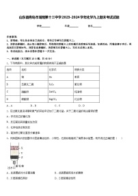 山东省青岛市城阳第十三中学2023-2024学年化学九上期末考试试题含答案