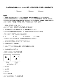 山东省青岛市即墨市2023-2024学年九年级化学第一学期期末调研模拟试题含答案