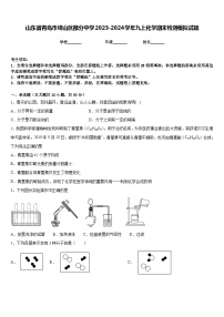 山东省青岛市崂山区部分中学2023-2024学年九上化学期末检测模拟试题含答案