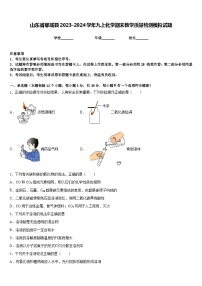 山东省郓城县2023-2024学年九上化学期末教学质量检测模拟试题含答案