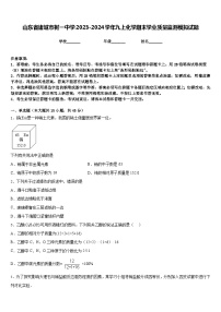 山东省诸城市树一中学2023-2024学年九上化学期末学业质量监测模拟试题含答案